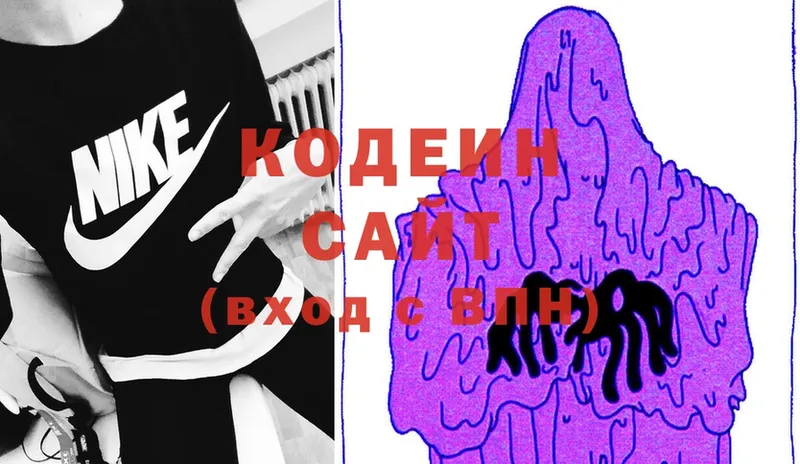 купить закладку  Петровск-Забайкальский  Кодеин Purple Drank 