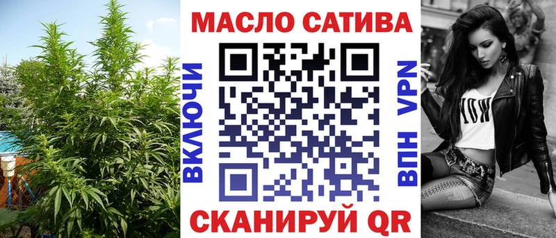 ТГК гашишное масло  ссылка на мегу ССЫЛКА  Петровск-Забайкальский 