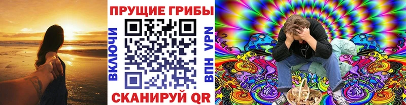 где найти   hydra зеркало  Галлюциногенные грибы мухоморы  Петровск-Забайкальский 